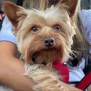 Meet your Posher, Gianna